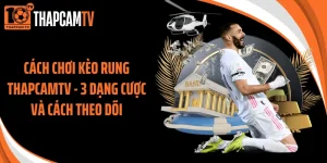 Cách Chơi Kèo Rung Thapcamtv - 3 Dạng Cược Và Cách Theo Dõi