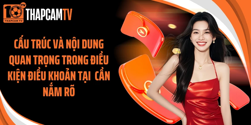 Cấu trúc và nội dung quan trọng trong điều kiện điều khoản tại cần nắm rõ