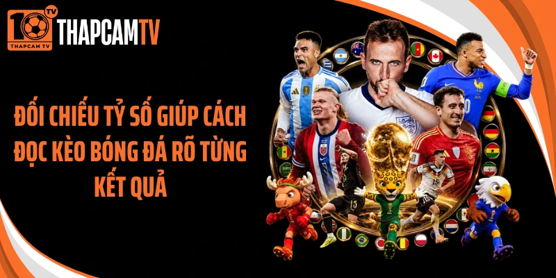 Đối chiếu tỷ số giúp cách đọc kèo bóng đá rõ từng kết quả