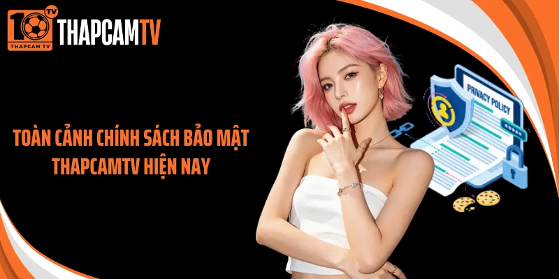 Toàn cảnh chính sách bảo mật ThapcamTV hiện nay